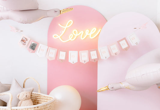 Mazulīša mēneša foto rāmīšu virtene “Stārķis”, krāsu mikss, 10,5 × 15 cm 